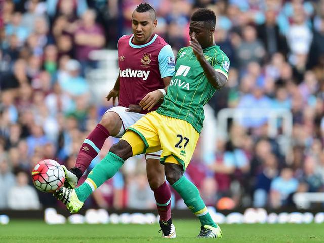 献了一场 献了一场