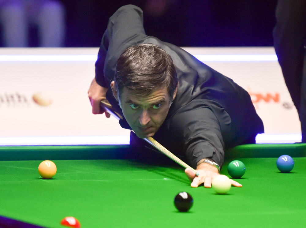 一个鲜活的 一个鲜活的